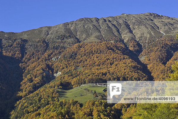 Kopflplatte (2319m)  Tanas  Vinschgau  Südtirol  Italien