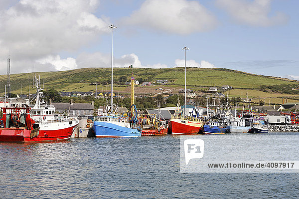 Schiffe für den Fischfang  Dingle  Kerry  Irland