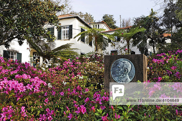 Denkmal von Carlos Azevedos de Meneses inmitten von Rhododendron im botanischer Garten (Jardim Botanico) Funchal Madeira Portugal