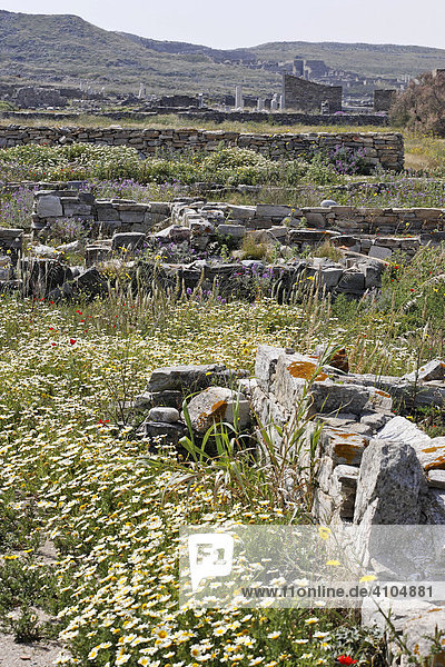 Ruinen hellenistischer Häuser  Delos  Griechenland