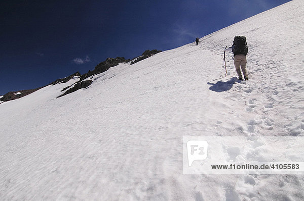 Trekker ascending the snowy slopes above Refugio Frey  Bariloche  Patagonia  Argentina