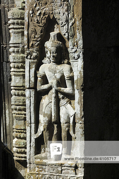 Ta Prohm temple  Angkor Wat  Cambodia