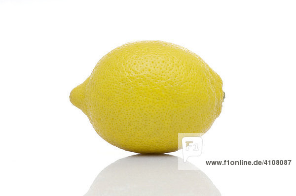 Lemon (Citrus)