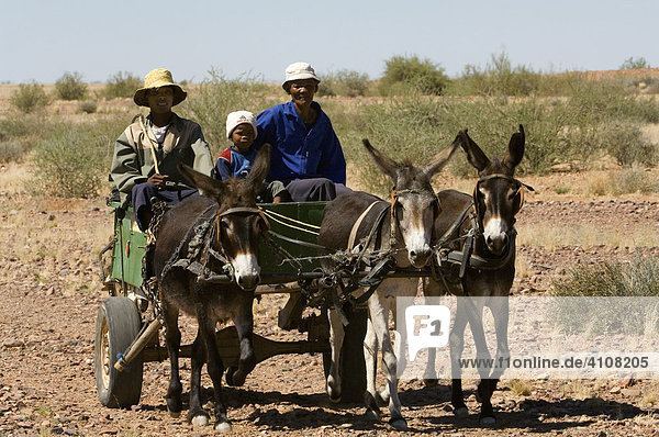 Donkey cart  Namibia  Africa