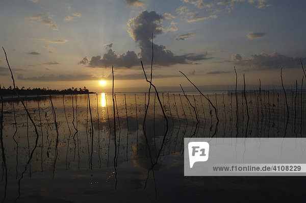 Sonnenuntergang auf Panglao Island  Philippinen  Asien
