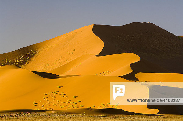Dune landscape at sunset  Sossusvlei  Namibia  Africa