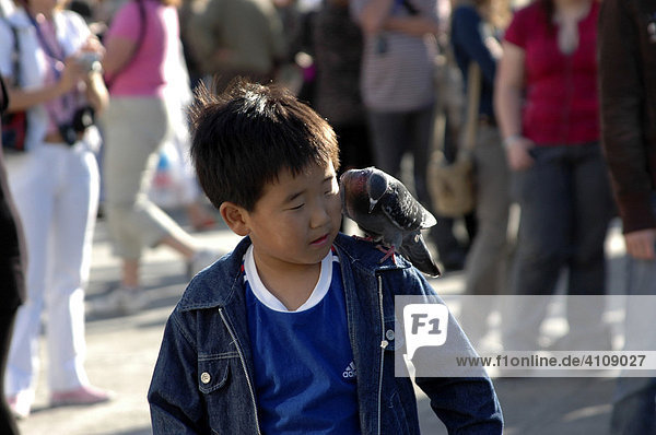Young boy at Piazza San Marco (St. Mark's Square)  Venice  Veneto  Italy  Europe