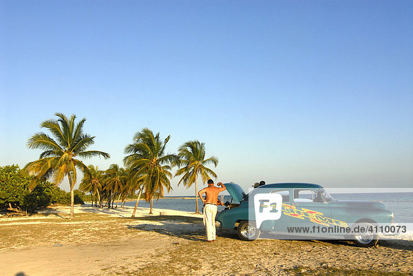 Oldtimer am Palmenstrand von Playa Giron  Kuba