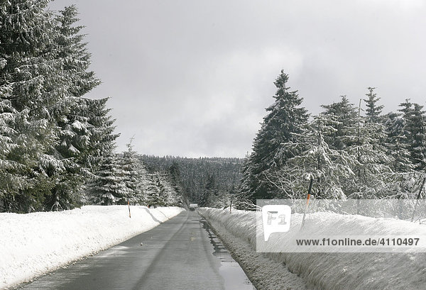 Empty lane in the forest on the wet road through the Erzgebirge in winter Erz Ore Mountains Saxony Germany