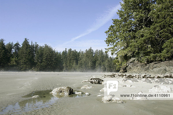 Sandstrand bei Ebbe an der Pazifikküste im Pacific Rim Nationalpark bei Tofino auf Vancouver Island in British Columbia  Kanada