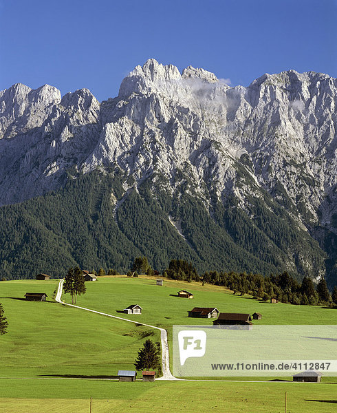 Naturpark Tonihof  Buckelwiesen  Karwendelgebirge  Mittenwald  Oberbayern  Deutschland
