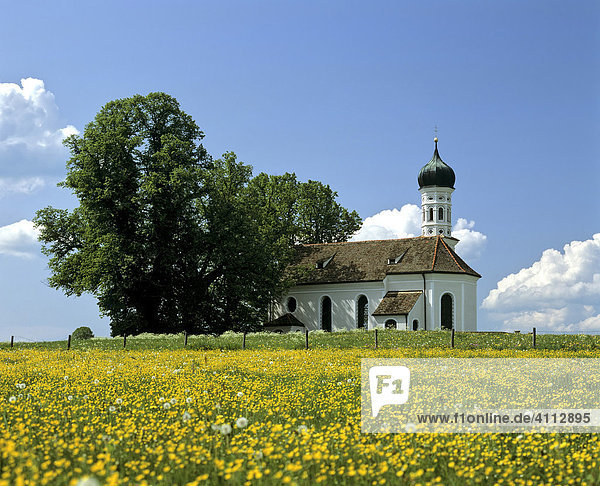 Andreaskirche bei Etting  Blumenwiese im Frühling  Landkreis Weilheim  Oberbayern  Deutschland