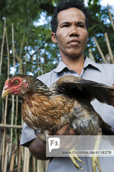 Farmer with chicken  Takeo Province  Cambodia