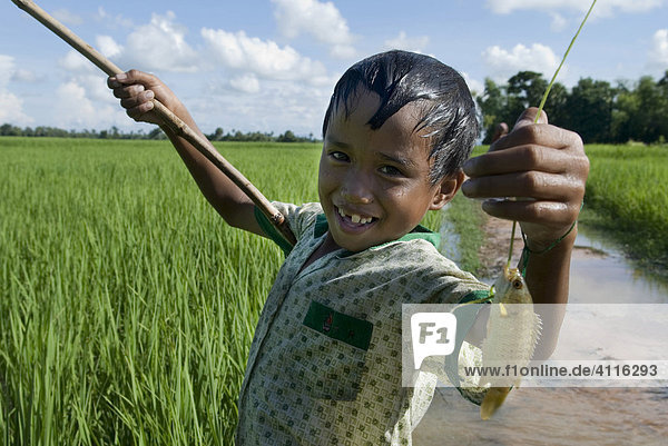 Boy fishing in a flooded rice field  Takeo Province  Cambodia