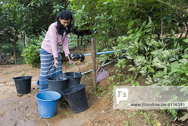 Junge Frau holt Wasser an einer Quelle  Mae Ra Camp (Lager für burmesische Flüchtlinge)  Maesot  Thailand