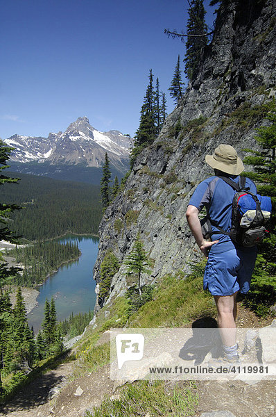 Hiker admiring the view - Lake O'Hara - Yoho National Park  British Columbia  Canada