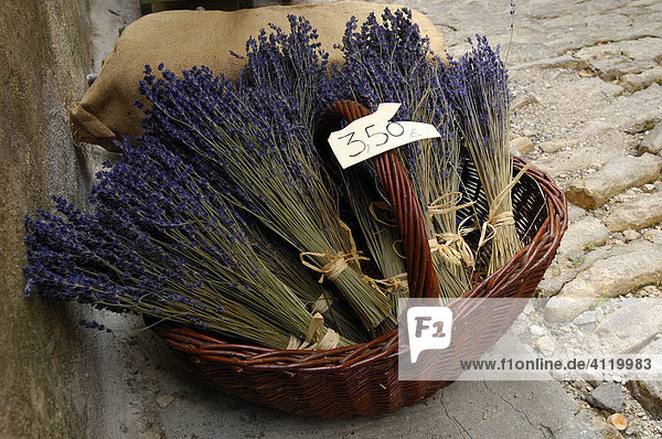 Bunches of lavender for sale in the town of Gordes  Provence  France