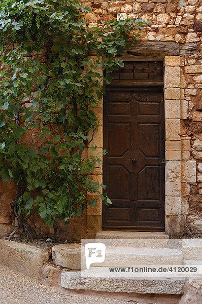 Doorway and grape vines in the Provincial town of Roussillon  France