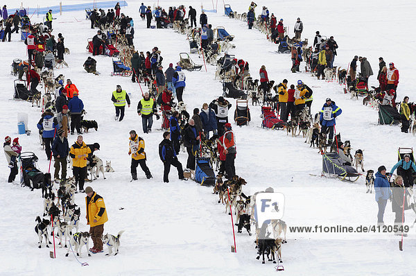 Participants  dogsled race  Finnmarkslopet  Alta  Finnmark  Norway