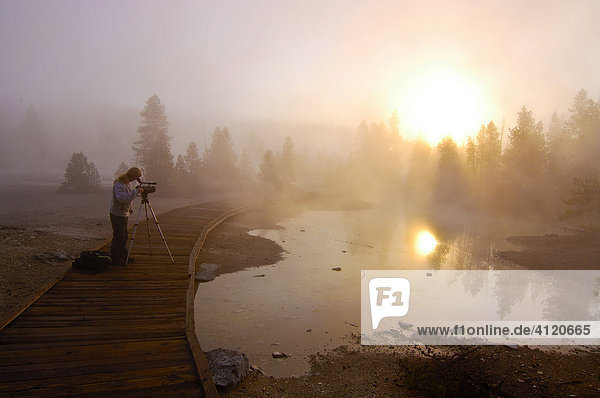 Morning fog  Yellowstone National Park  Wyoming  USA  United States of America