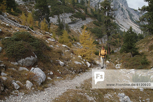Landschaft mit Wanderer  Dolomiten  Südtirol  Italien