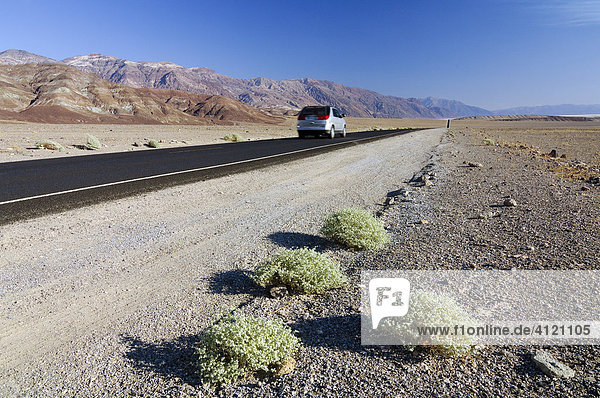 Car driving along Highway 178 in Death Valley  Death Valley National Park  California  USA  North America