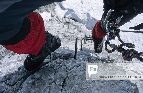 Rope and carabiner  rock climbing set visible between the red gaiter covered legs of a rock climber climbing up metal rungs hammered into a cliff face on the Innsbrucker Klettersteig or fixed rope route  Tyrol  Austria  Europe