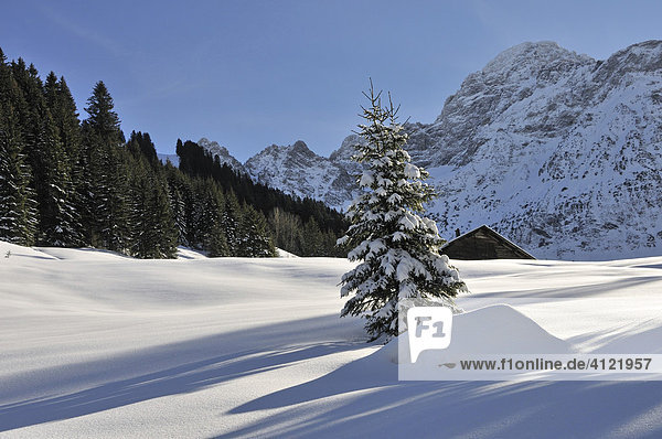Winter im Kleinwalsertal  Österreich  Europa