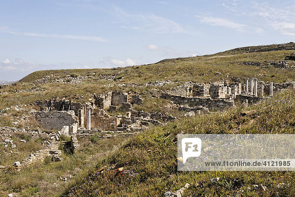 Ruinen der Wohnhäuser im Inopos-Tal  Delos  Griechenland