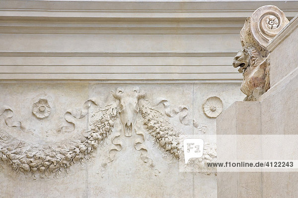Festonen und Bukranion an der Seitenwand des Altars im Museum der Ara Pacis Augustae  Rom  Italien