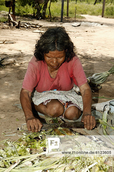 Ayoreo-Indianerin verarbeitet Bromelienfasern aus denen Knüpfarbeiten hergestellt werden  Chaco  Paraguay  Südamerika