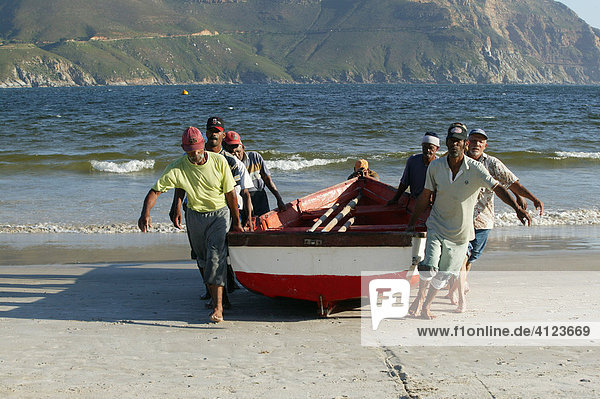 Fischer ziehen Fischerboot an Land  Hout Bay bei Kapstadt  Südafrika  Afrika