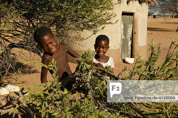 Two boys playing with a branch  Cattlepost Bothatogo  Botswana  Africa
