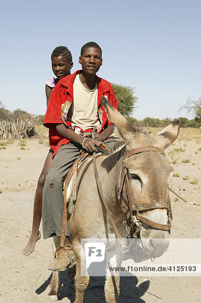 Jugendliche reiten auf einem Esel  Cattlepost Bothatoga  Botswana  Afrika