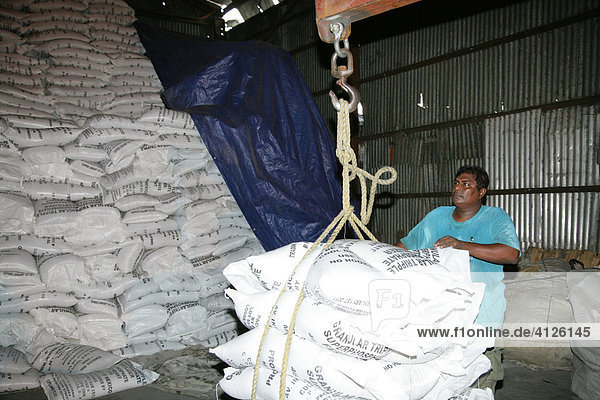 Sacks of sugar in a warehouse at John Fernandes transshipment port in Georgetown  Guyana  South America