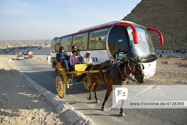 Pferdegespann und Touristenbuss bei den Pyramide  Ghize  Ägypten  Afrika