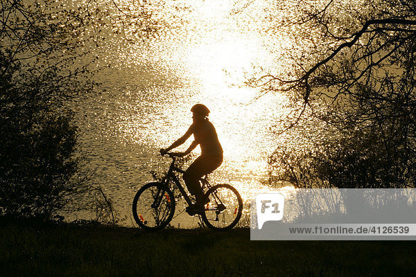 Cyclist alongside Lake Chiemsee  Upper Bavaria  Bavaria  Germany  Europe
