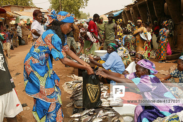 Woman shopping for fish at a market  Garoua  Cameroon  Africa