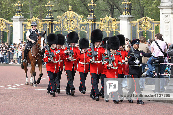 Royal Guard vor dem Buckingham Palace  London  England  Großbritannien  Europa