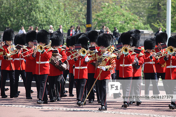 Royal Guard in front of Buckingham Palace  London  England  Great Britain  Europe