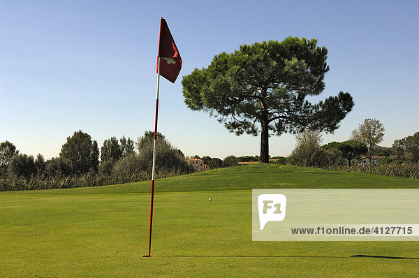 Puttinggrün mit Fahne  Golfplatz  Caorle  Venezien  Italien