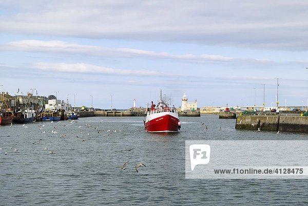 Hochseefischereihafen Howth bei Dublin mit einlaufendem Fischkutter  Irland