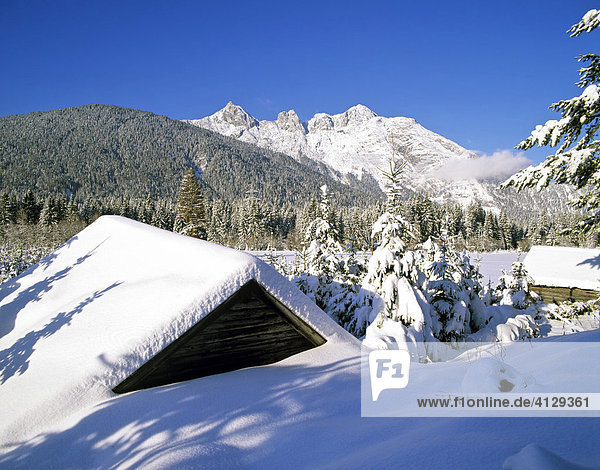 Ahrnspitzen near Seefeld  winter  Wettersteingebirge  Tyrol  Austria