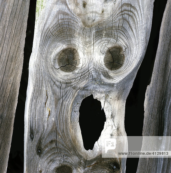 Der Schrei  Edvard Munch  Scream  Gespenst  Holzbrett mit Gesicht  Angst
