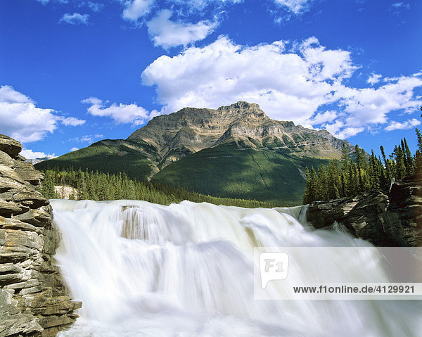 Athabasca Falls  Athabasca River  Jasper National Park  Alberta  Canada