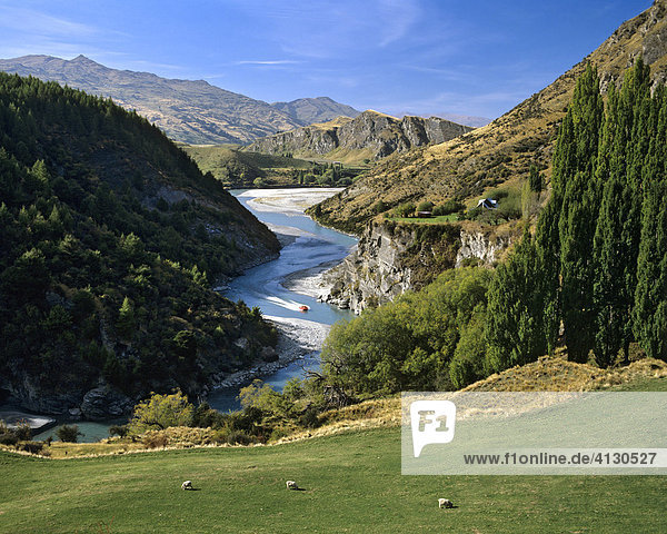 Shotover River Jetboot Arthurs Point Queenstown Südinsel Neuseeland