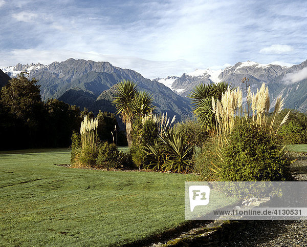 Landschaft am Franz Josef Gletscher  Südinsel  Neuseeland