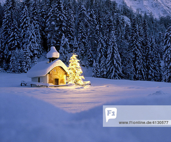 Kapelle bei Elmau,  Dämmerung,  verschneite Winterlandschaft,  Christbaum,  Weihnachten,  Oberbayern,  Bayern,  Deutschland