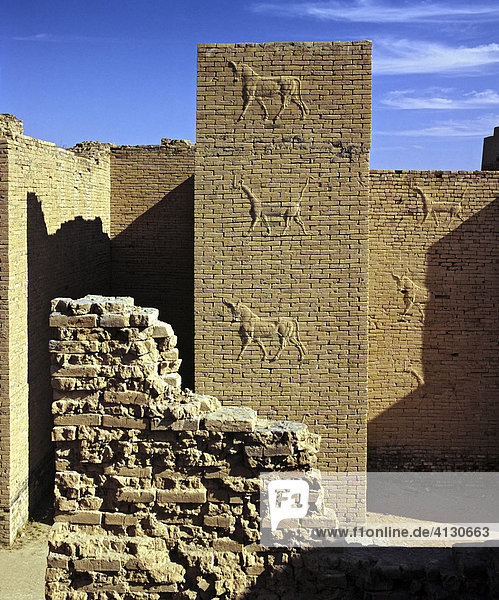Mauer Mit Relief Ruinen Von Babylon Irak