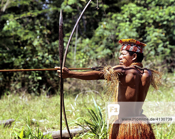 Indian  indio or indigenous warrior pointing a bow and arrow  Amazon  Iquitos  Peru  South America